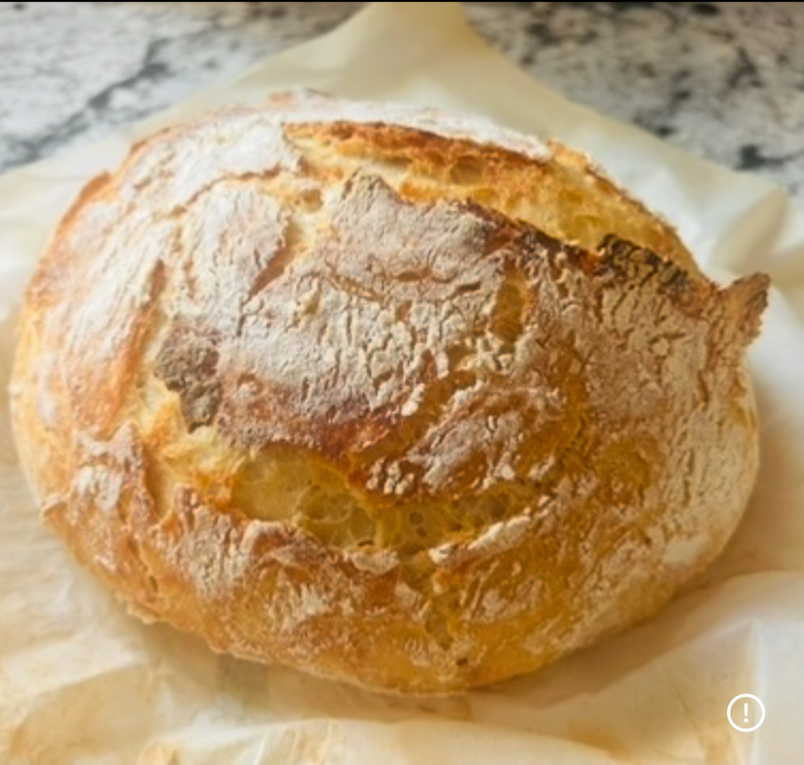 Artisan Bread Plain